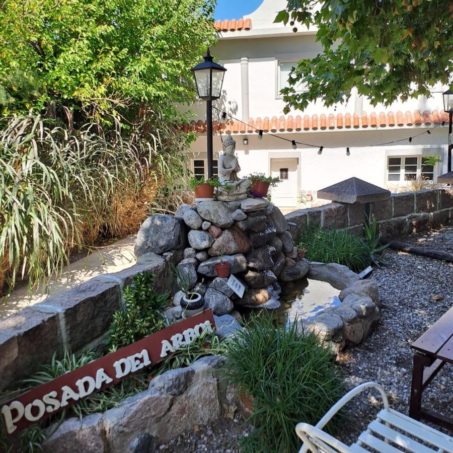 Posada Del Arbol 카피야델몬테 외부 사진